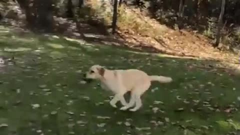 When you have a last minute hide & seek mind change.