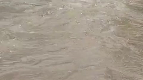 Makassar flood#12