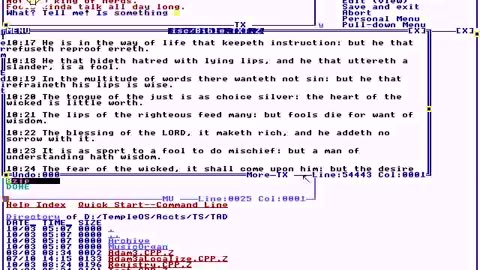 TempleOS Hymns #10