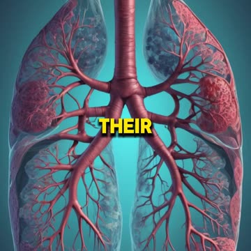 Transform Your Lung Health Naturally with Mullein Leaf Extract 🌿 | Breathe Better Today