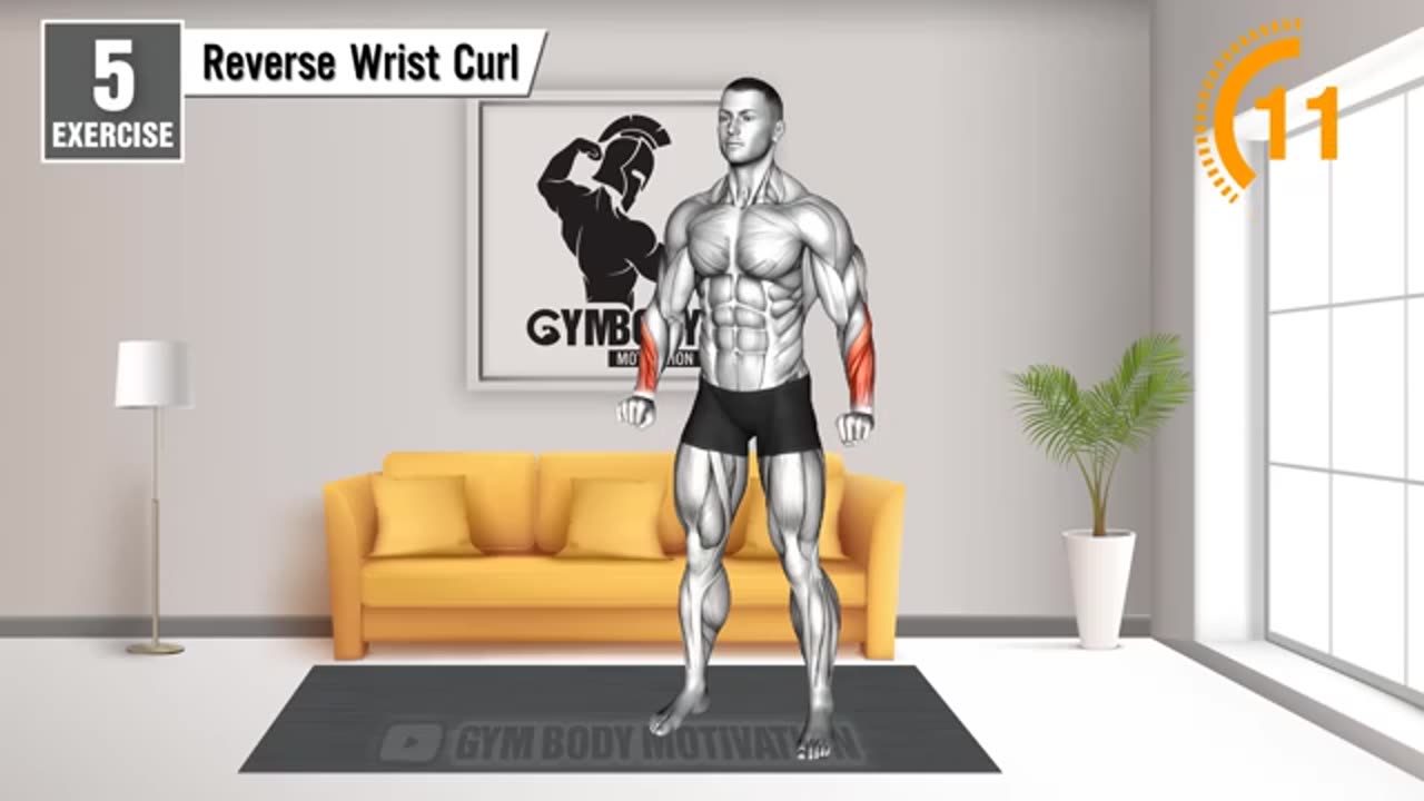 Home chest workout