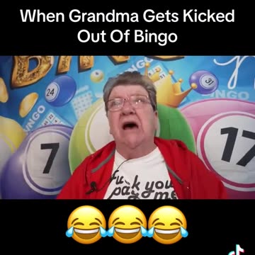 News Break: My Spirit Animal.