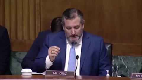 Ted Cruz Explodes On Dem Witness Over Her Ridiculous "Racist Accusation".