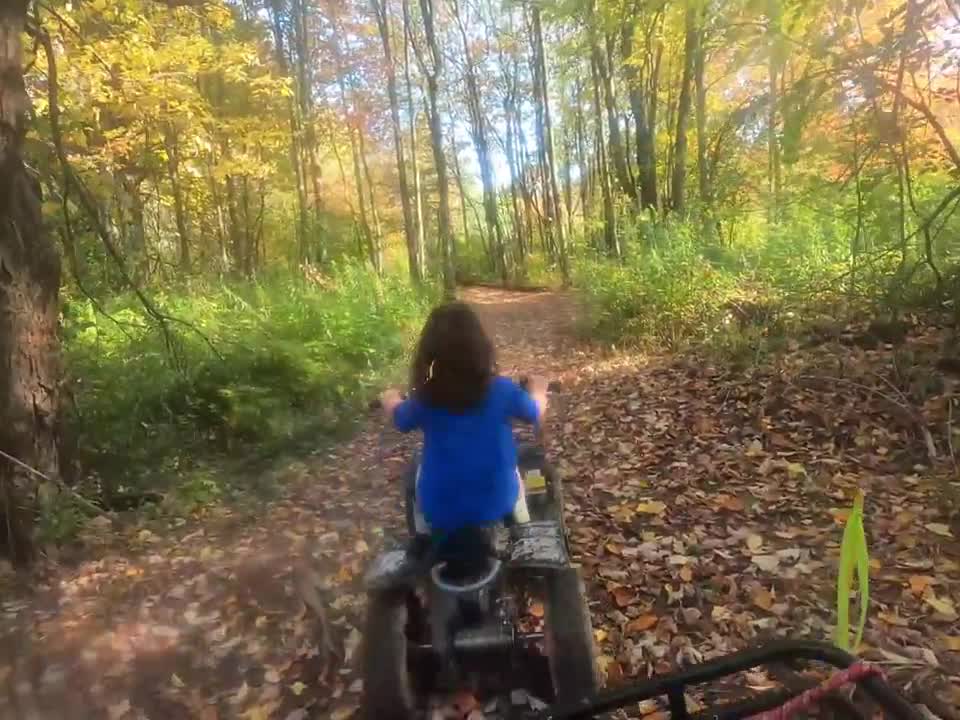 Razor Dirt Quad 24v Trail Riding