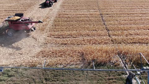 Good long north side video in front of combine then grain bin too