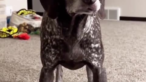 STOP IT!!!🤣🤣🤣