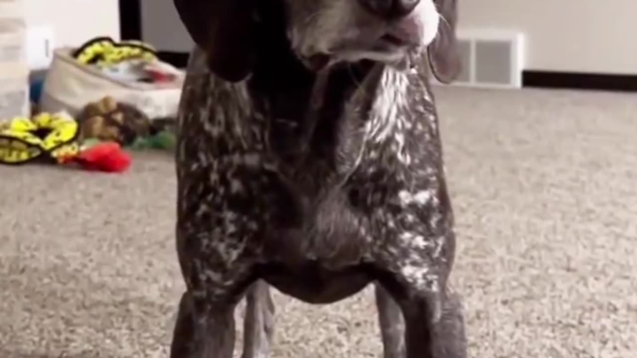 STOP IT!!!🤣🤣🤣