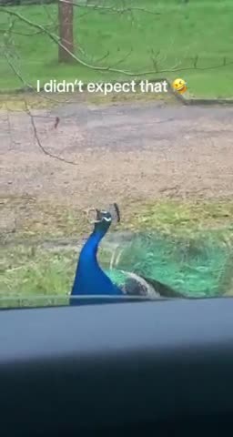 Two can play that game buddy 😂🤣