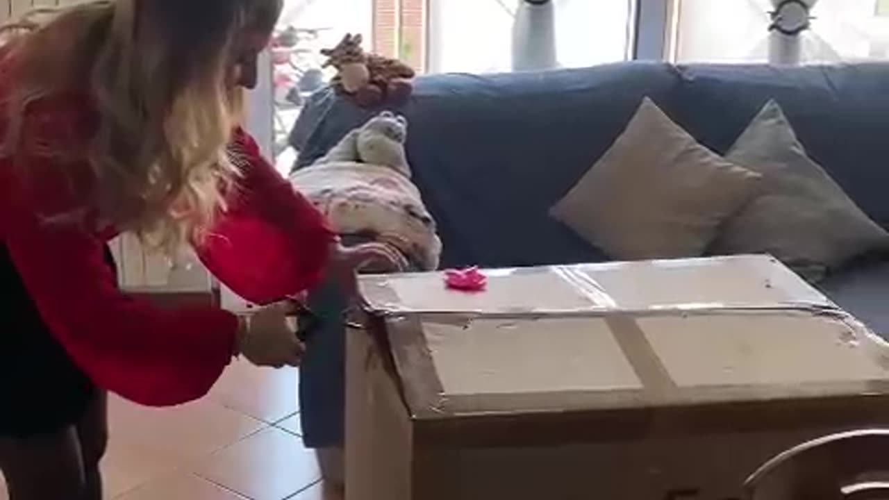 The Happiest Family Surprise