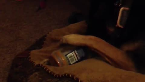 Fiona peanut butter jar