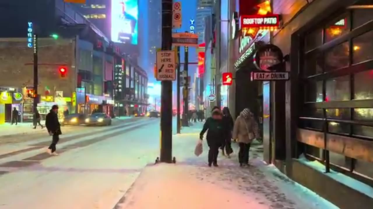 toronto city walking tour