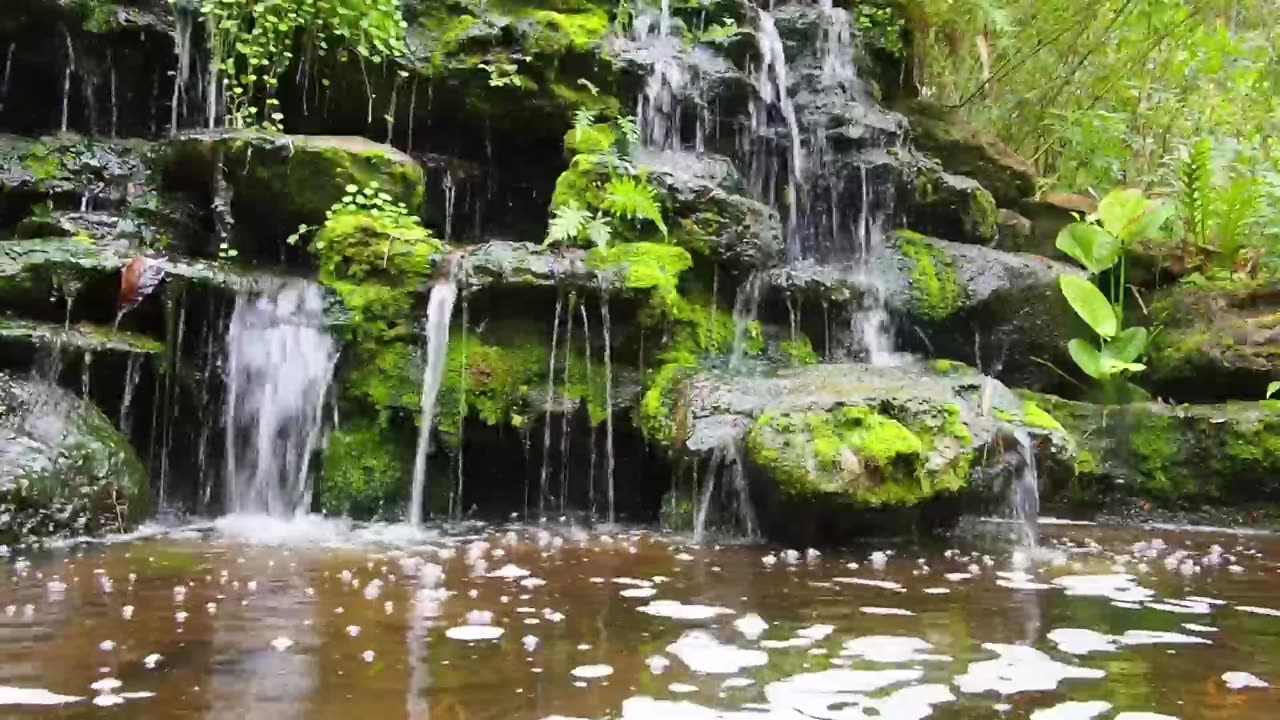 Nature Sounds: Deep Relaxation Music with Running Water, Piano and Birds