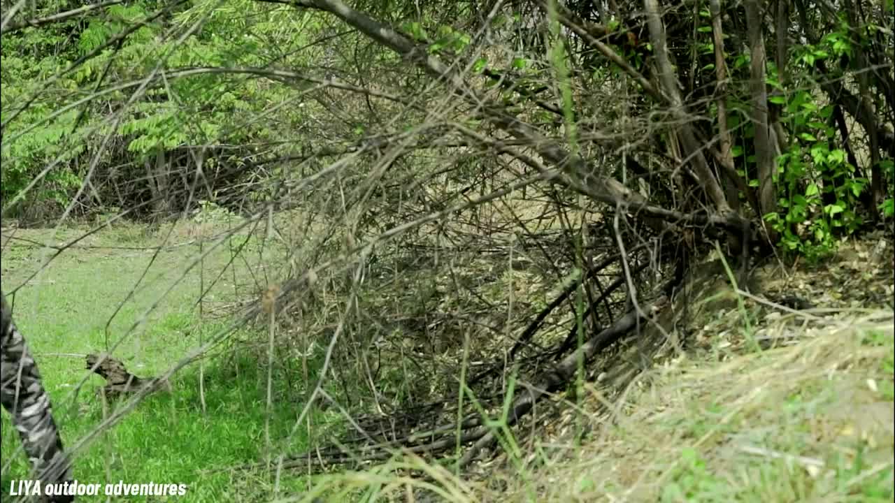 Solo Camping - Camping With Thunderstorm Overnight - ASMR CAMPING