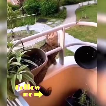 Follow me in The Big4 - YouTube, Rumble, TikTok and Facebook