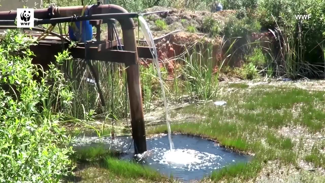 Farms at risk as Spanish wetland shrinks