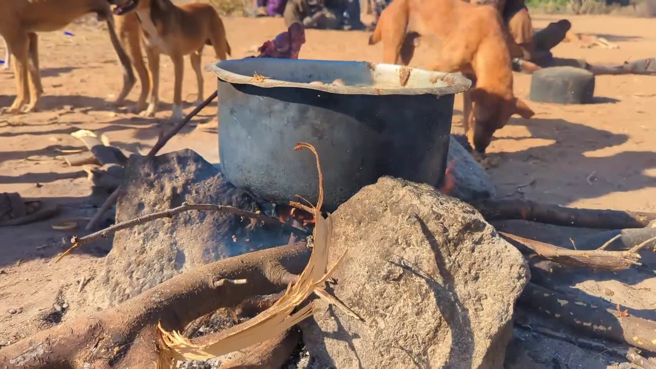 Eating lion's meet