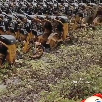 Un cimitero di monopattini/scooter elettrici.