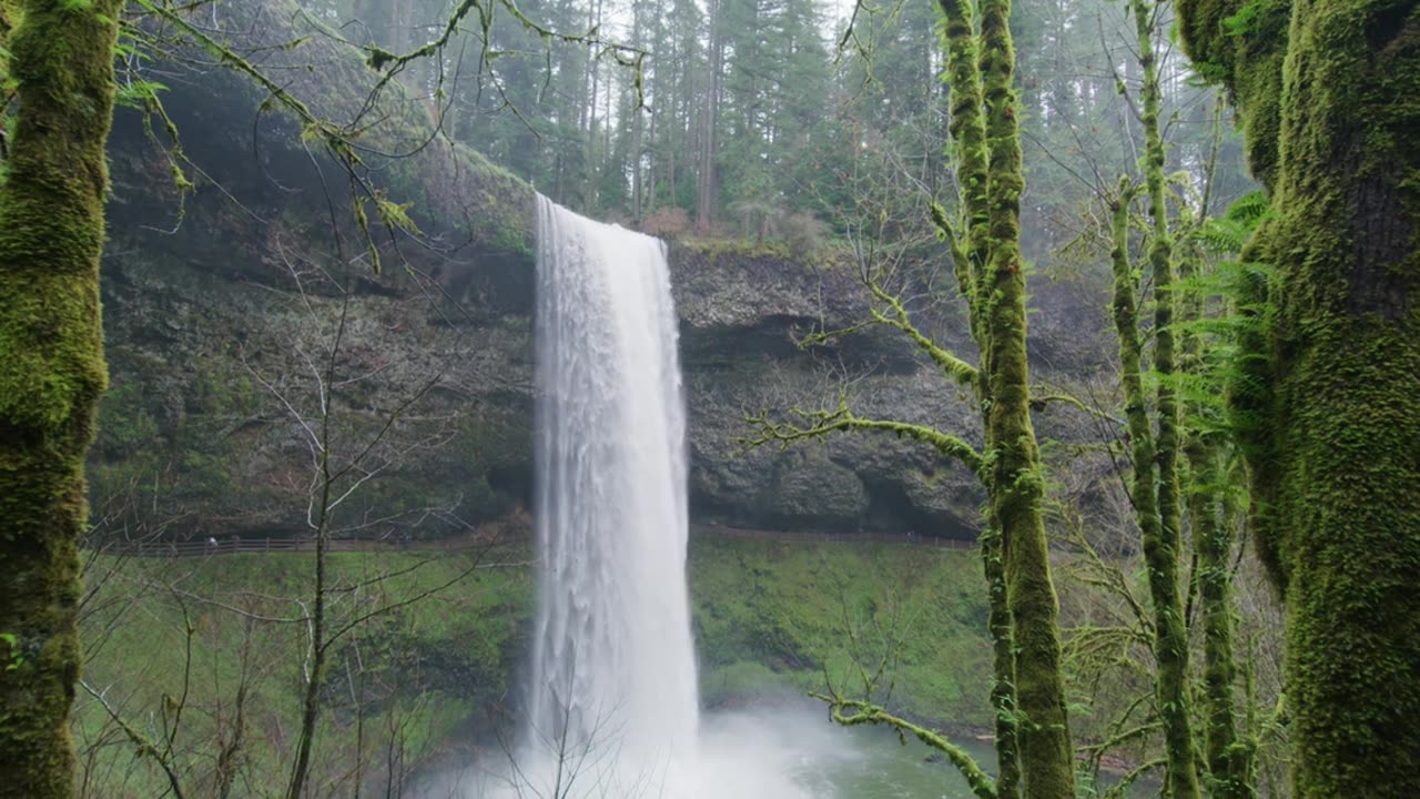 Relaxing Waterfalls Nature for Meditation and Stress Relief Video