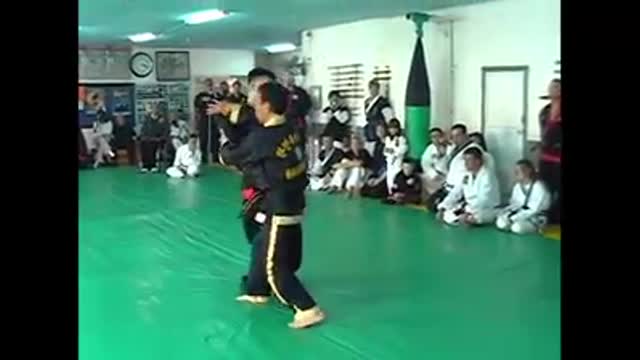 Hanminjok Hapkido
