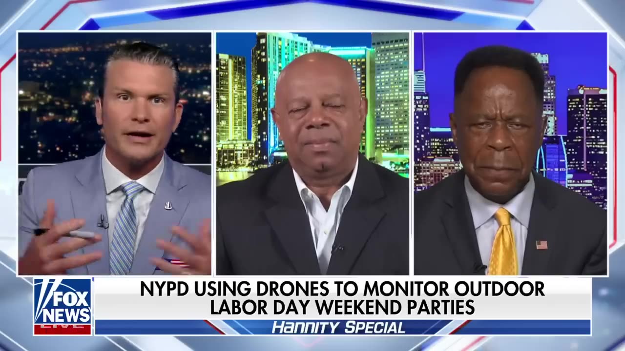 'PRIVACY CONCERNS?': NYPD to use drones to monitor outdoor parties Labor Day weekend