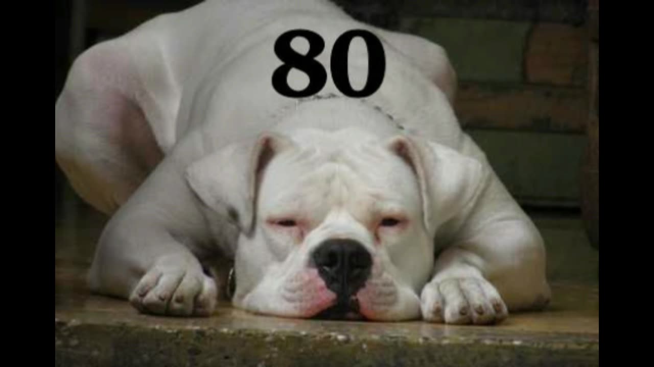 80