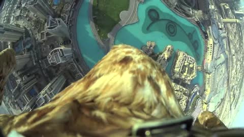 Dubai World Record Eagle Flight