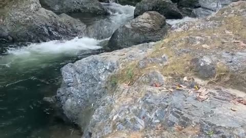 Beauty of Nature