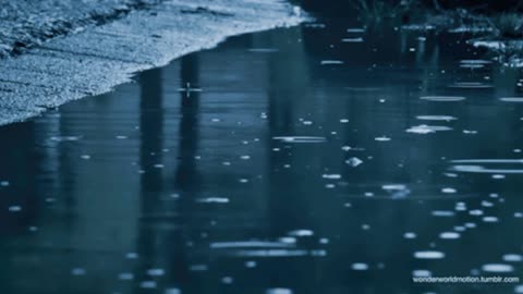 Music Rain Relax Sleep and Calm