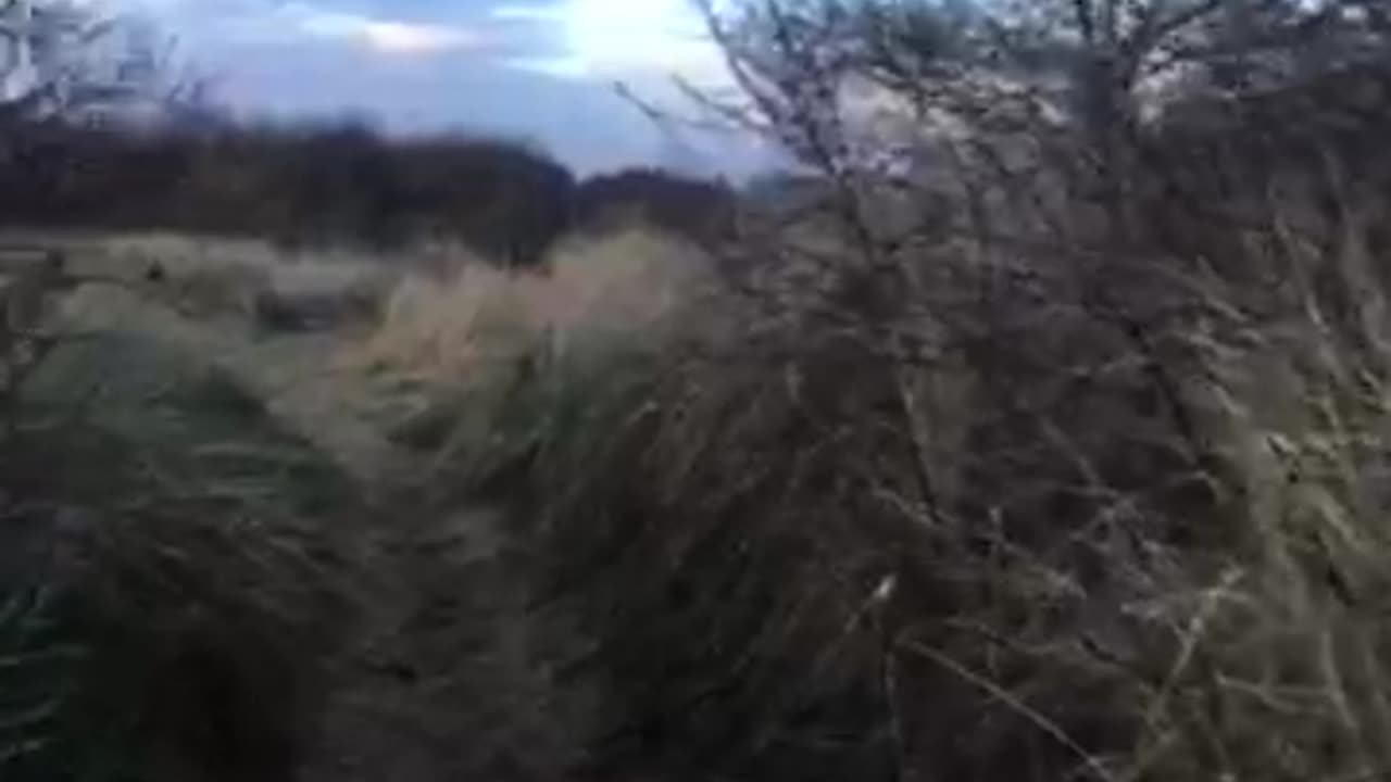 NESARA GESARA IS GOING TO BE IMPLEMENTED BY 1st APRIL