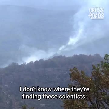 Bill Gates is cutting down millions of trees to "save the earth"