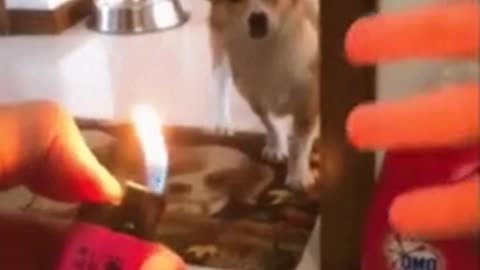 You are not Human 😁🤖