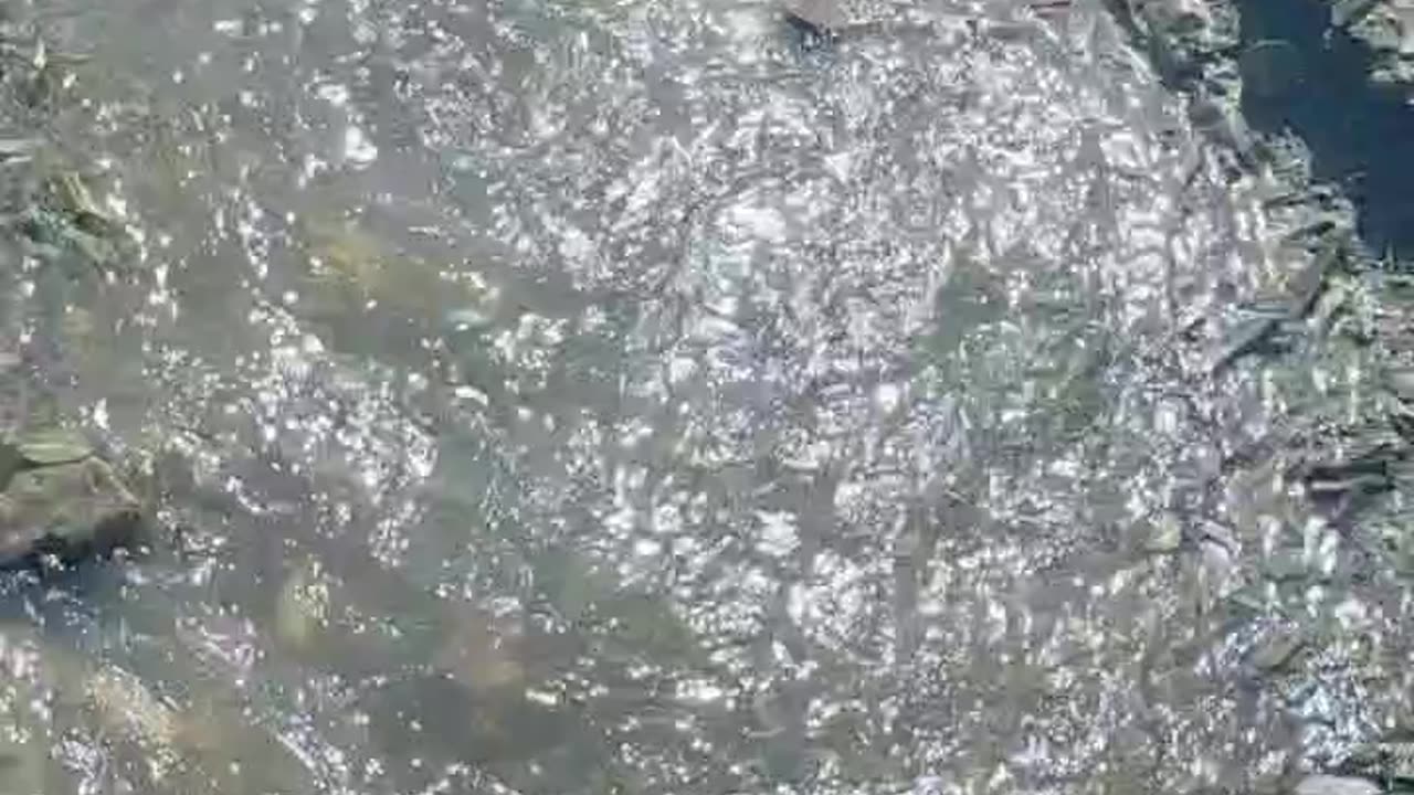 Stream | Water | Balochistan | Mountain Rain water