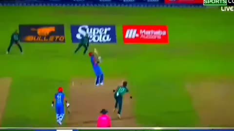 Shaheen #cricketlover #trendingvideo #shortviral