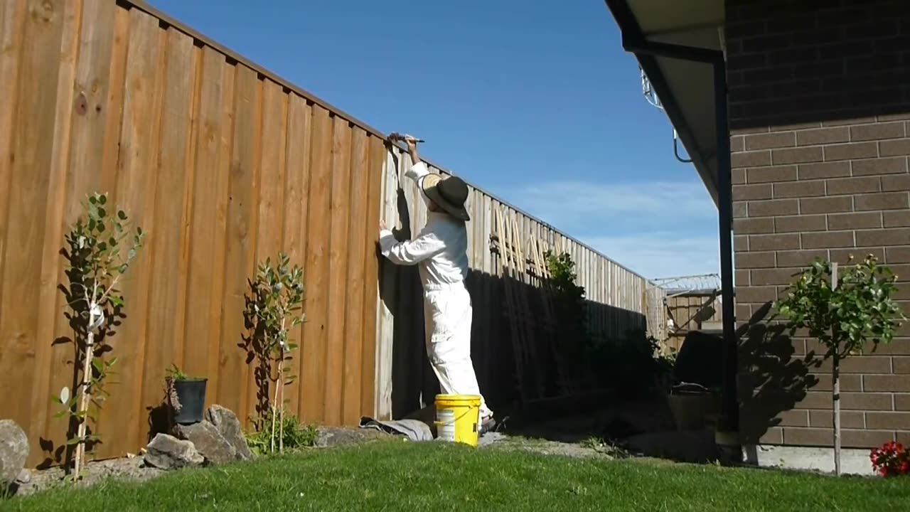 Easterrific! Home Garden | Fence Painting progress