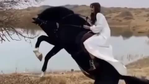 The girl saddled the horse.