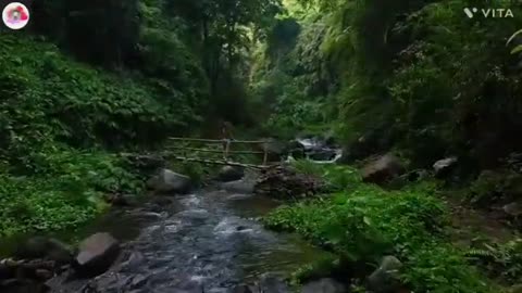 Relaxing Music | Sleeping, Meditation, Stress Relief | [6417] ⭐️