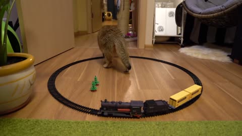 This video is for men Toy Train