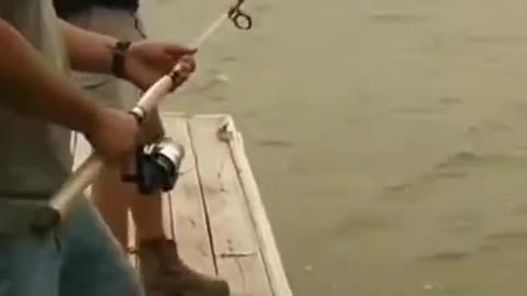 funny fishing