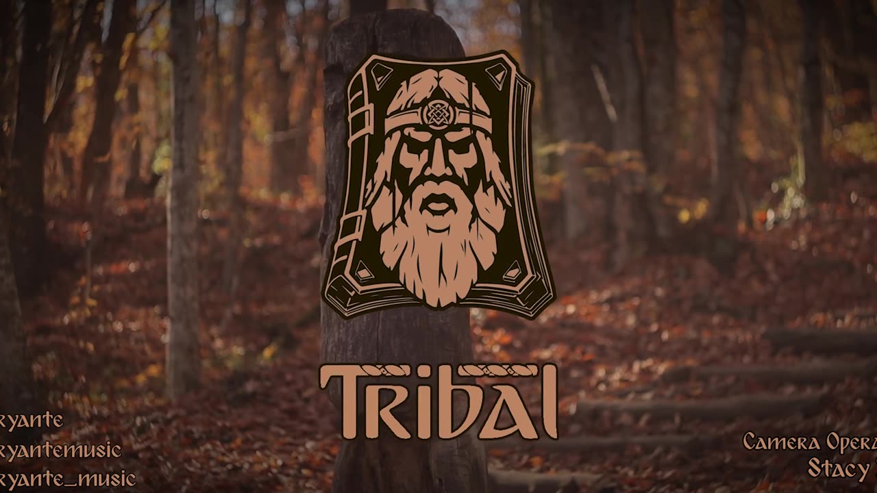 Dryante - The New Beginning - Tribal OST (Original)