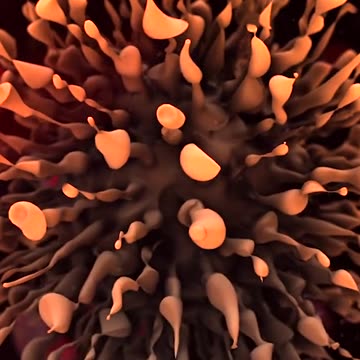 disease #cancer #help #sick #body #illness #healthy #doctor #stress #asmr #food #medical