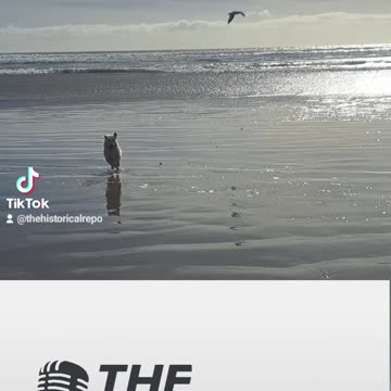 The Historical Report