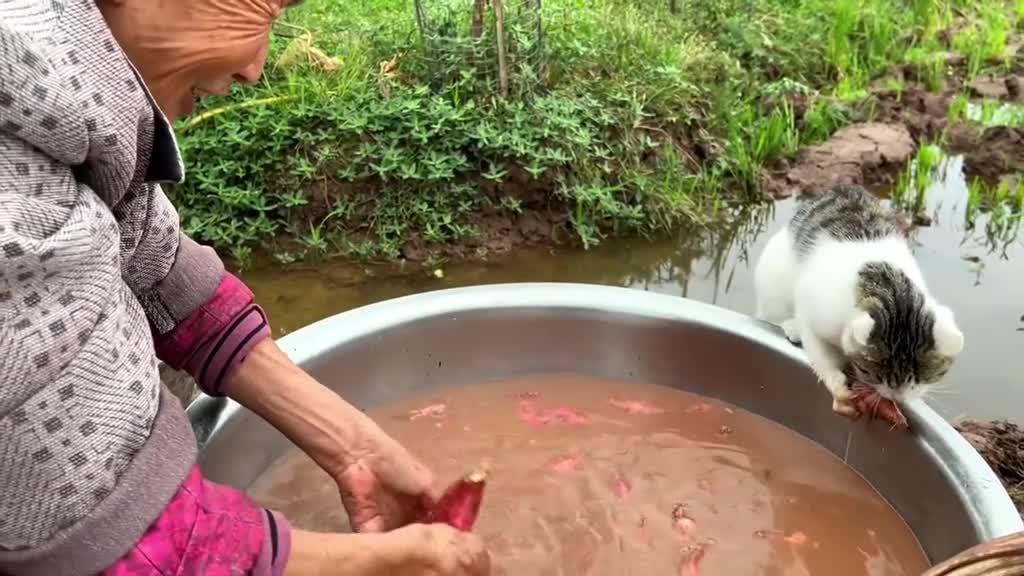 Grandma, I want to eat a sweet potato too 👀👀