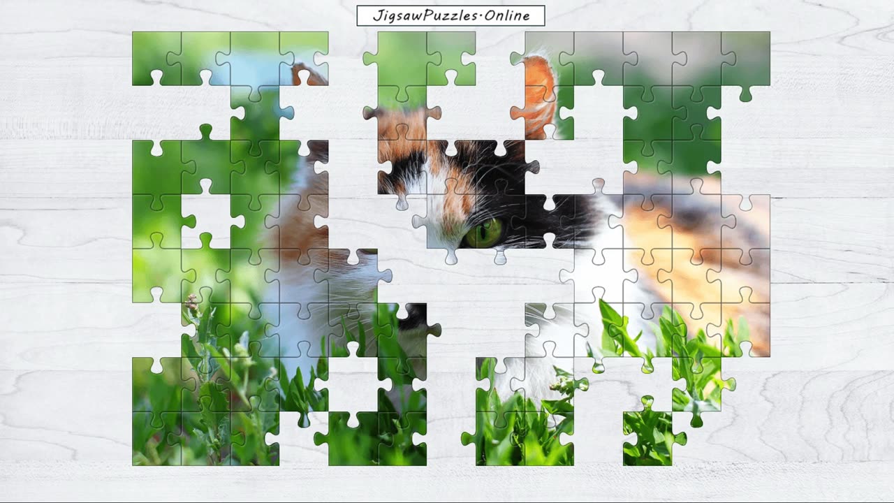 Calico Cat Jigsaw Puzzle Online