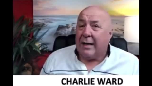 Cabal players shitting themselves - They know it's game over