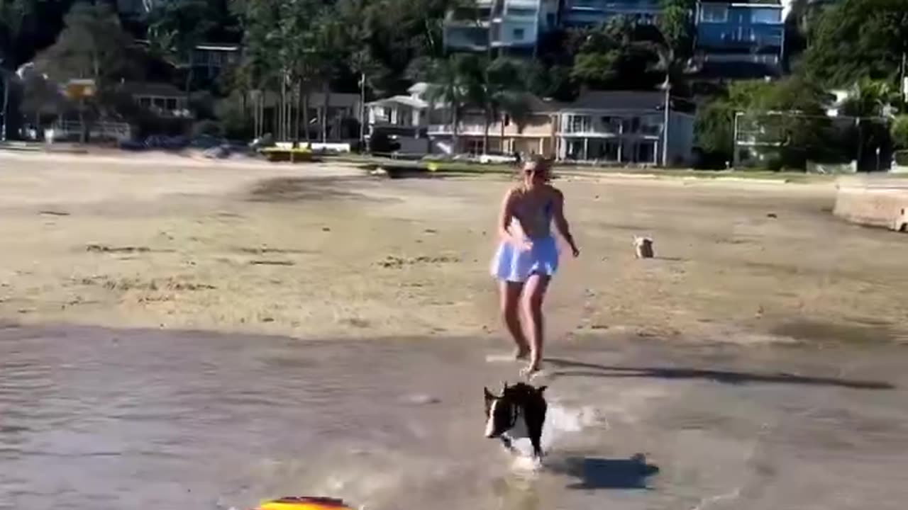 10/10 speed, 10/10 form 🏄♂️😎 #SurfingSensation