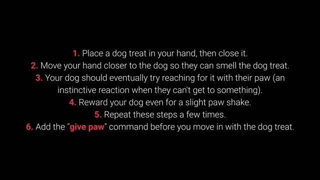 Basic dog training Several basic training exercises that a dog needs to know