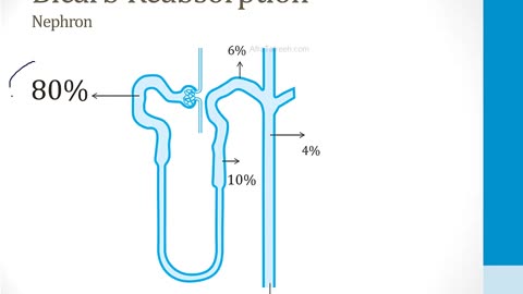 Renal - 2. Acid-Base - 1.Acid Excretion