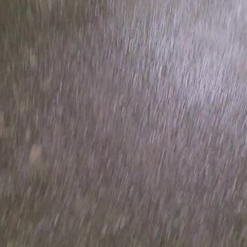 Ottawa protest January 31, 2022 raw video #6