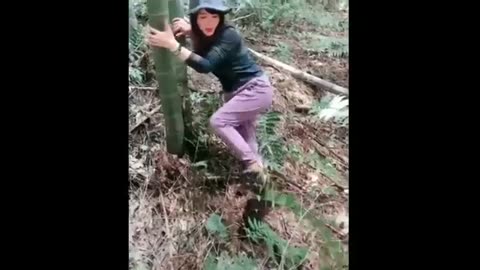 Some funny videos in one video 💯