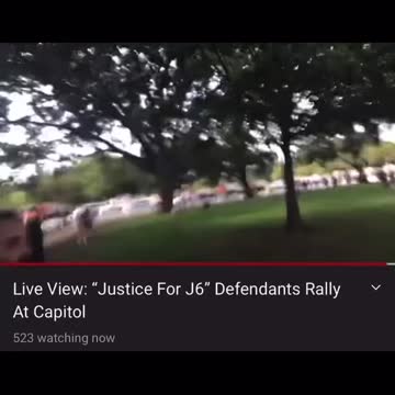 Armed Person Detained at J6 Rally is